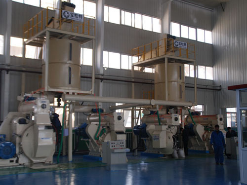 Annual Capacity 100,000t-Hebei Biomass Pellets Production Line